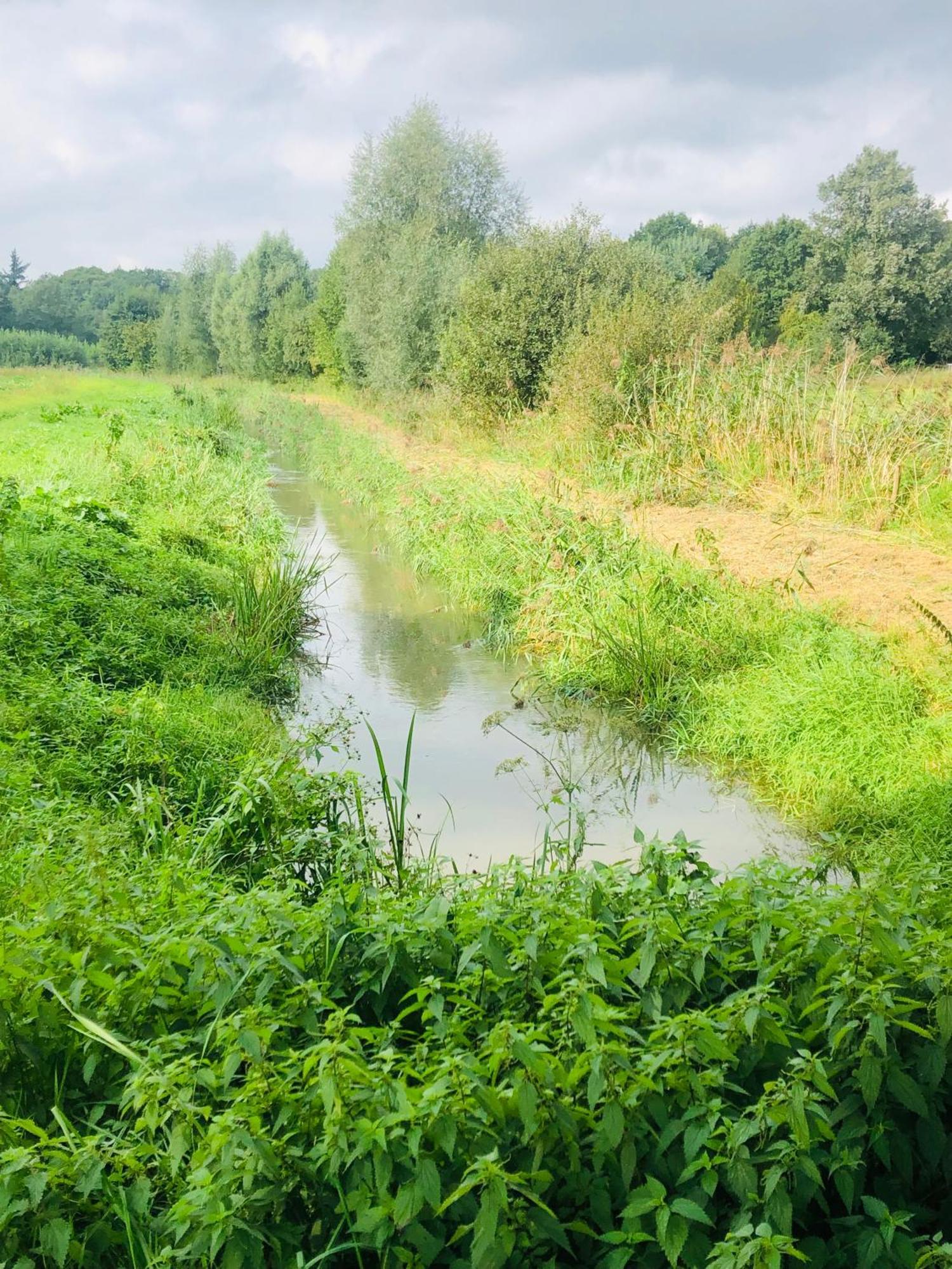 B &B Yuupke Maasbree Noord-Limburg Venlo Roermond Bed & Breakfast Luaran gambar