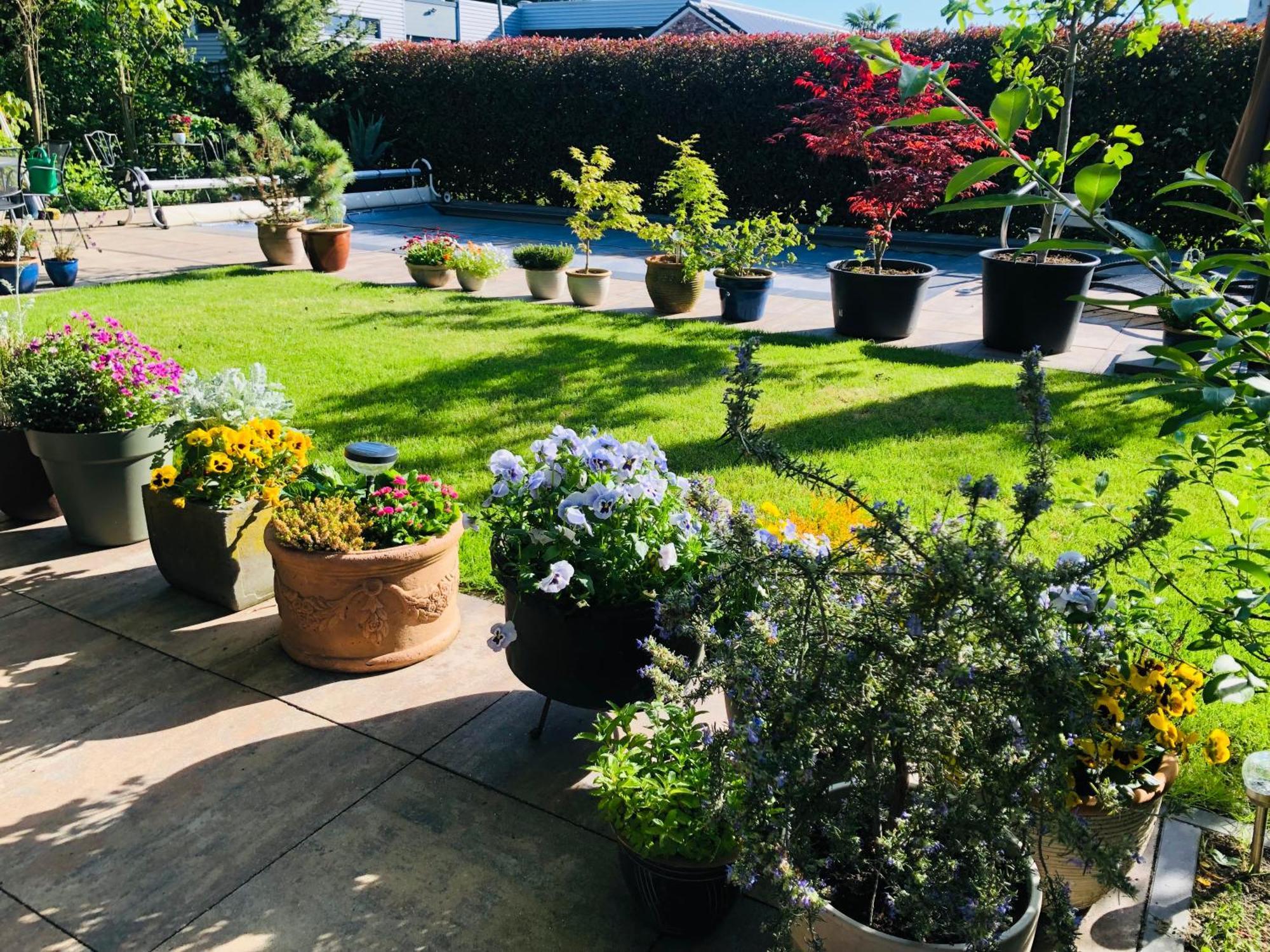 B &B Yuupke Maasbree Noord-Limburg Venlo Roermond Bed & Breakfast Luaran gambar